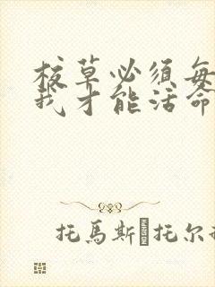 校草必须每天吸我才能活命[穿书]