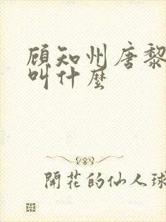 顾知州唐黎书名叫什么