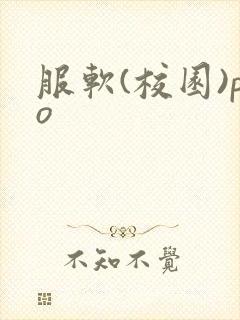 服软(校园)po