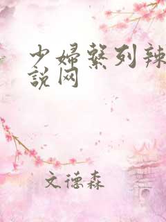 少妇系列辣文小说网