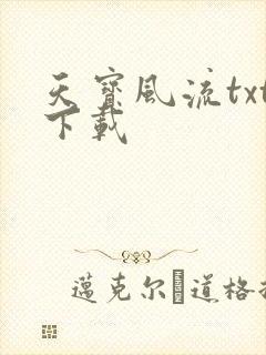 天宝风流txt下载