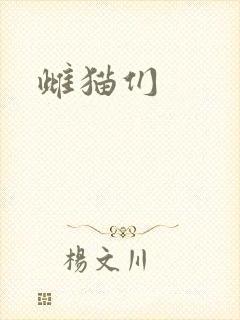 雌猫们
