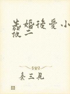 先婚后爱小说梦筱二