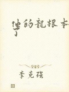 他的龙根本太大了