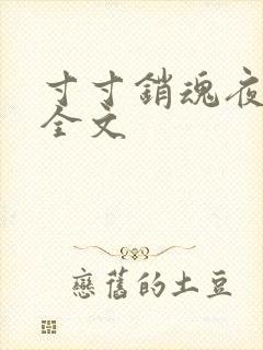 寸寸销魂夜春光全文