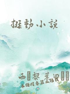 挺动小说