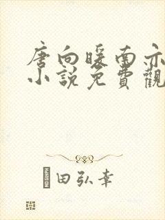 唐向暖南亦琛的小说免费观看