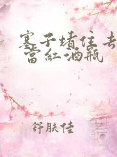 塞子堵住去上学 当红酒瓶