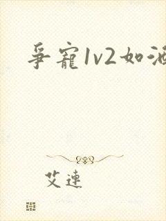 争宠1v2如酒