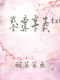 武帝重生txt全集下载