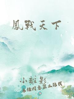 凤战天下