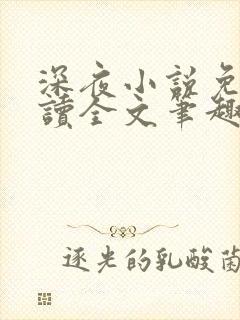 深夜小说免费阅读全文笔趣阁