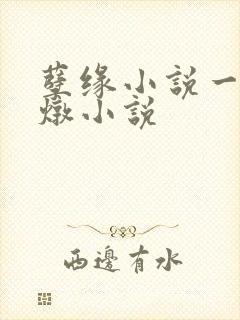 孽缘小说一家乱炖小说
