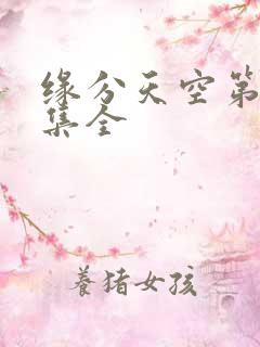 缘分天空第12集全