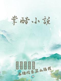 掌酷小说