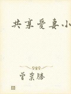共享爱妻小说