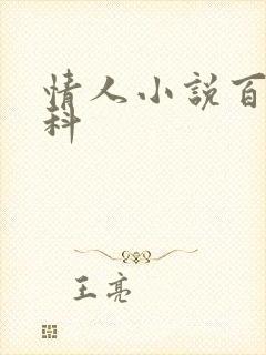 情人小说百度百科