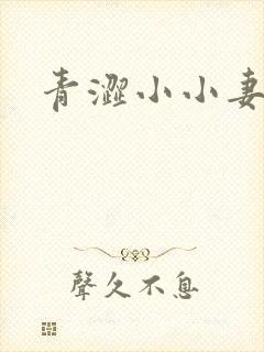 青涩小小妻