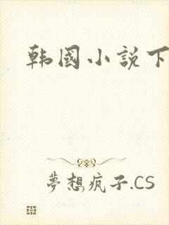 韩国小说下载