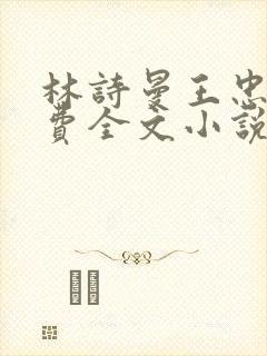 林诗曼王忠文免费全文小说的名称