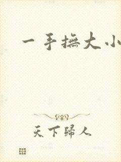 一手抚大小说