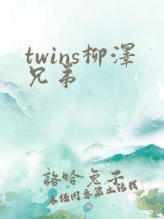 twins柳泽兄弟