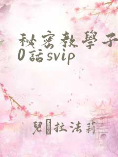 秘密教学子豪60话svip