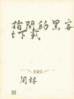 指间的黑客txt下载