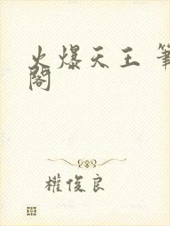 火爆天王 笔趣阁