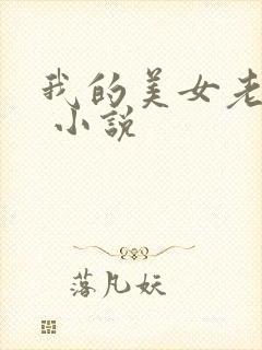 我的美女老婆们 小说