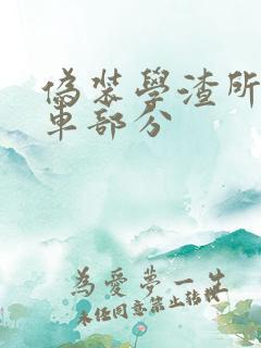 伪装学渣所有开车部分