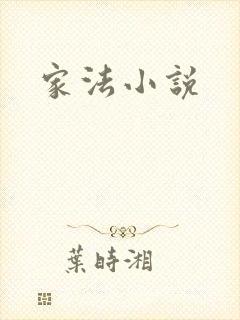 家法小说