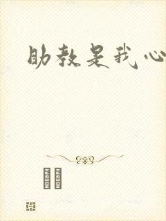助教是我心尖宠