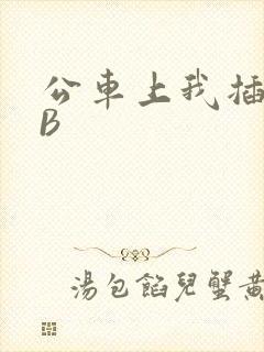 公车上我插上骚B