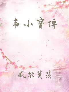韦小宝传