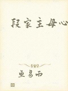 段家主母心太狠