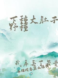 下种大肚子怀孕野种