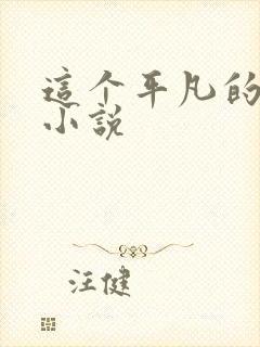 这个平凡的男子小说