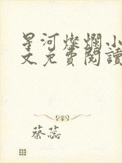 星河灿烂小说全文免费阅读