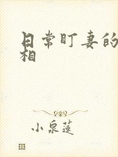 日常盯妻的小丞相