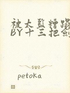 被太监糟蹋之后BY十三把剑