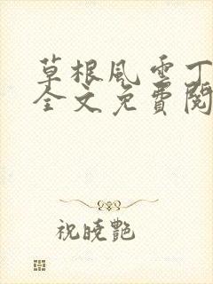 草根风云丁长生全文免费阅读