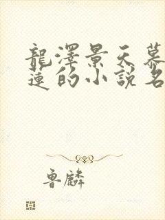 龙泽景天慕容青莲的小说名字