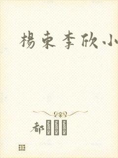 杨东李欣小说