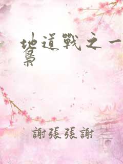 地道战之一代功枭