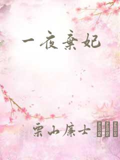 一夜弃妃