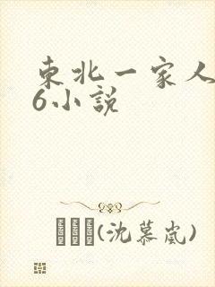 东北一家人1一6小说