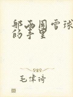 那两团雪球在他的手里