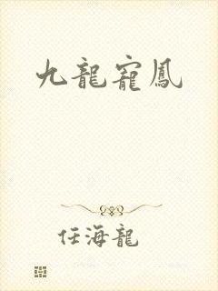 九龙宠凤