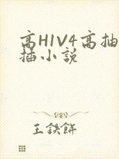 高H1V4高抽插小说